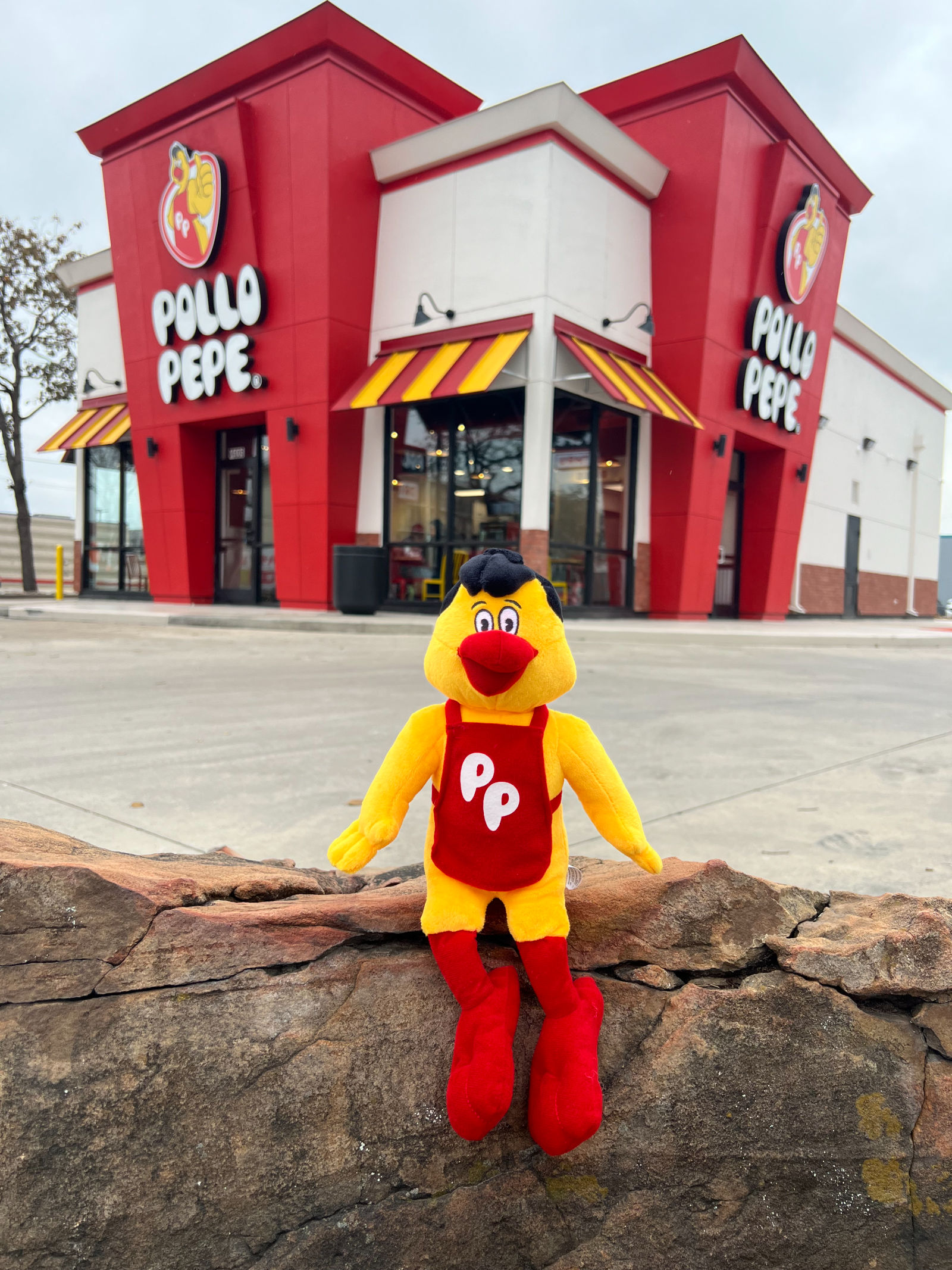 Pepe sitting on the stone wall outside the Pollo Pepe restaurant at 4606 Rittiman Rd, San Antonio